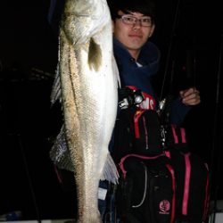 Marine T Design マリンティーデザイン 釣果