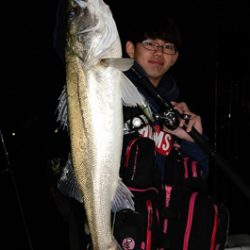 Marine T Design マリンティーデザイン 釣果