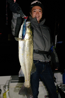 Marine T Design　マリンティ…