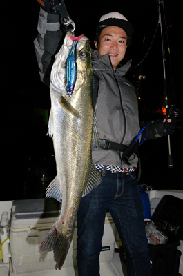 Marine T Design マリンティーデザイン 釣果