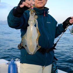 Marine T Design マリンティーデザイン 釣果