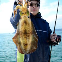 Marine T Design マリンティーデザイン 釣果