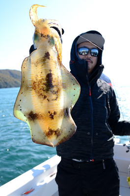 Marine T Design マリンティーデザイン 釣果