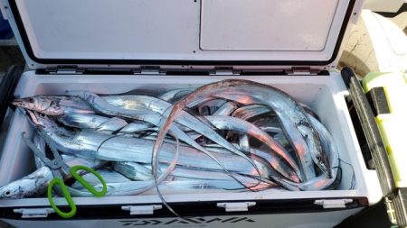 遊漁船 ニライカナイ 釣果