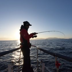 まるいち丸 ZERO-1 釣果