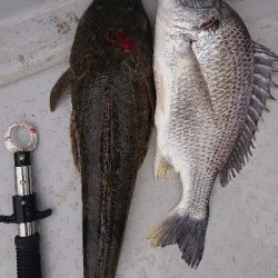 ボートエギングリベンジ！