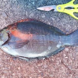 兎に角寒い!でも大漁でした!!疲れた~、でも^^b