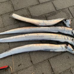 タチウオいまいち、アナゴがいい