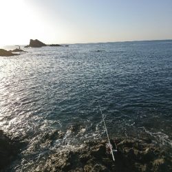 方座浦でグレ釣り
