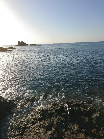 方座浦でグレ釣り