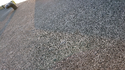 猫にやられた。