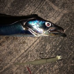 武庫一ワインド2