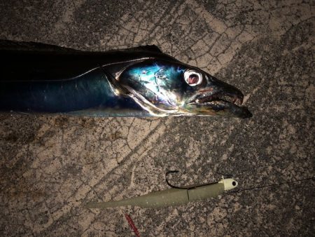 武庫一ワインド2