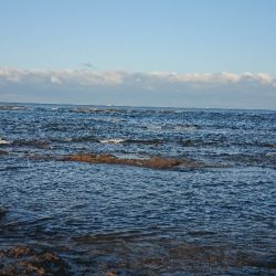 みなべ堺でグレ釣り