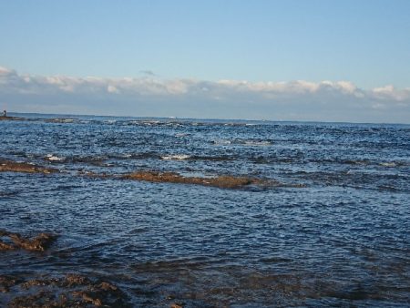 みなべ堺でグレ釣り