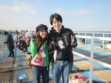 オリジナルメーカー海づり公園(市原市海づり施設) 釣果