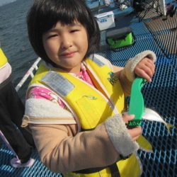 オリジナルメーカー海づり公園(市原市海づり施設) 釣果