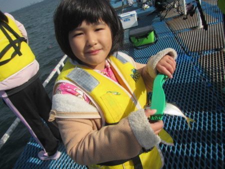 オリジナルメーカー海づり公園(市原市海づり施設) 釣果