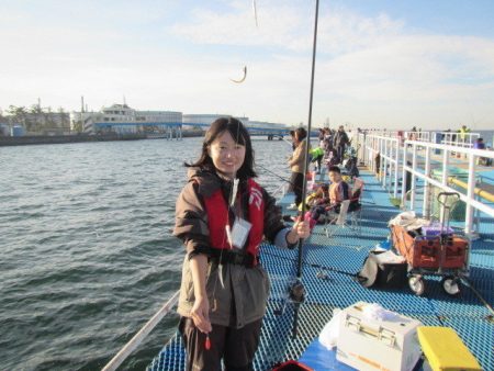 オリジナルメーカー海づり公園(市原市海づり施設) 釣果