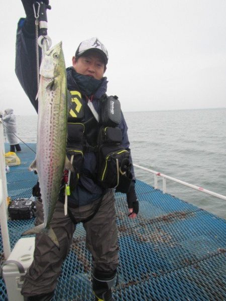 オリジナルメーカー海づり公園(市原市海づり施設) 釣果
