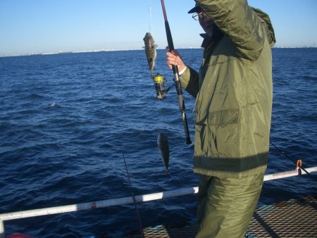 オリジナルメーカー海づり公園(市原市海づり施設) 釣果