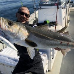 Rush(ラッシュ) 釣果