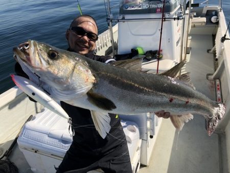 Ｒｕｓｈ（ラッシュ） 釣果