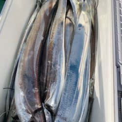 さんさん丸 釣果