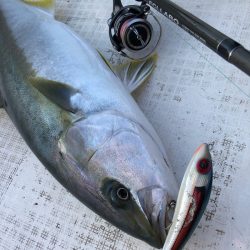 「LaGooN」蒼陽丸 日和号　 釣果