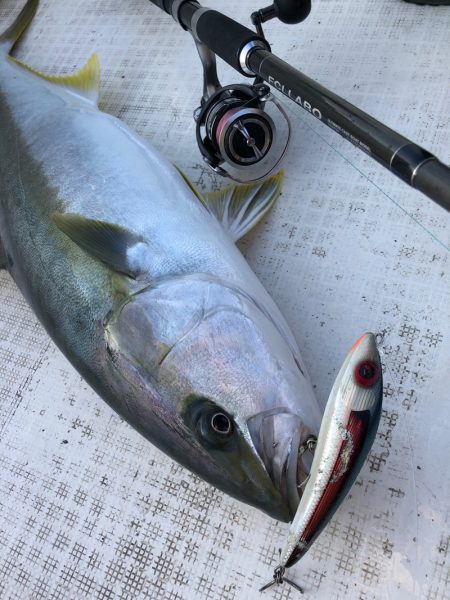 「LaGooN」蒼陽丸 日和号　 釣果
