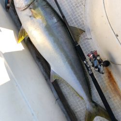 「LaGooN」蒼陽丸 日和号　 釣果