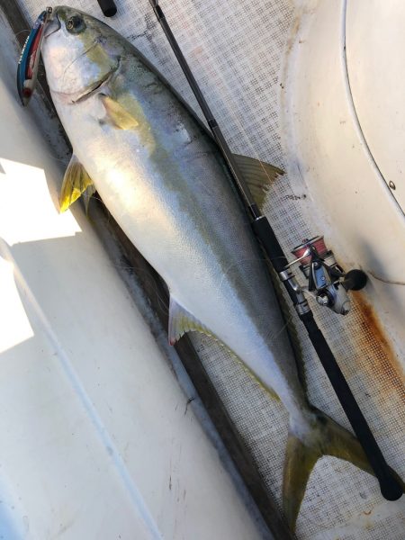 「LaGooN」蒼陽丸 日和号　 釣果