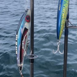 「LaGooN」蒼陽丸 日和号　 釣果