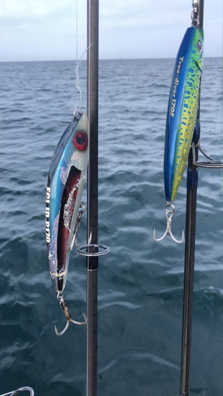 「LaGooN」蒼陽丸 日和号　 釣果