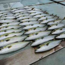 遊漁船 セトマリン 釣果