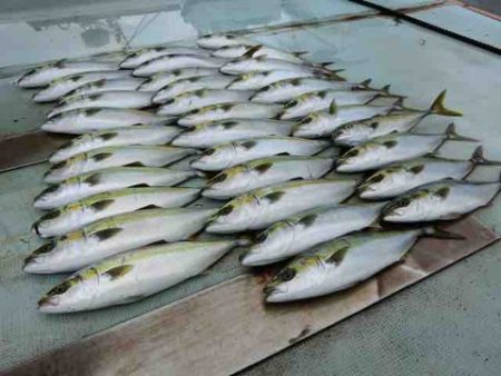 遊漁船 セトマリン 釣果