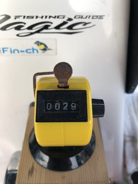 Magic(マジック) 釣果