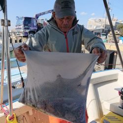 たかみ丸 釣果