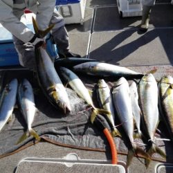 第二大福丸 釣果