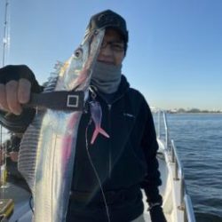 シーマジカル 釣果