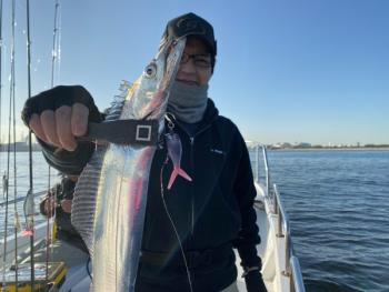 シーマジカル 釣果