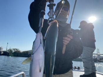 シーマジカル 釣果