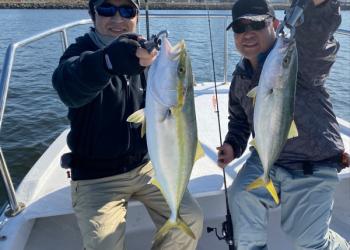 シーマジカル 釣果