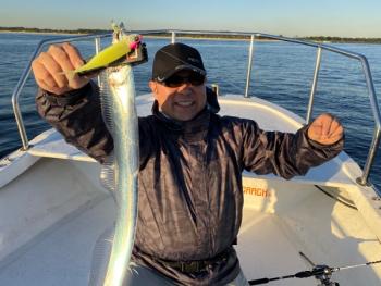 シーマジカル 釣果