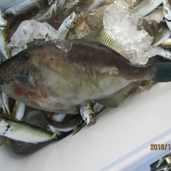 下関フィッシングパーク 釣果