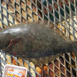 下関フィッシングパーク 釣果