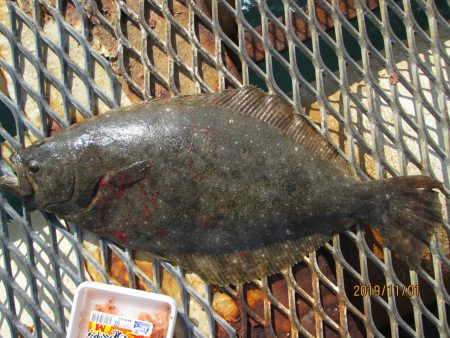 下関フィッシングパーク 釣果