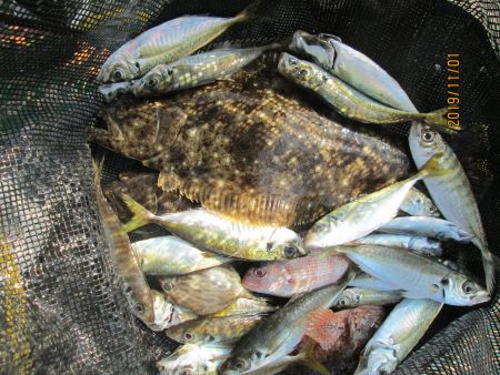 下関フィッシングパーク 釣果