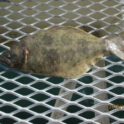 下関フィッシングパーク 釣果