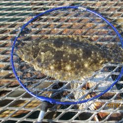 下関フィッシングパーク 釣果